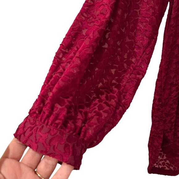 Anthropologie Susanna Burnout Velvet Button Down Blouse Top Size XS - Picture 5 of 8